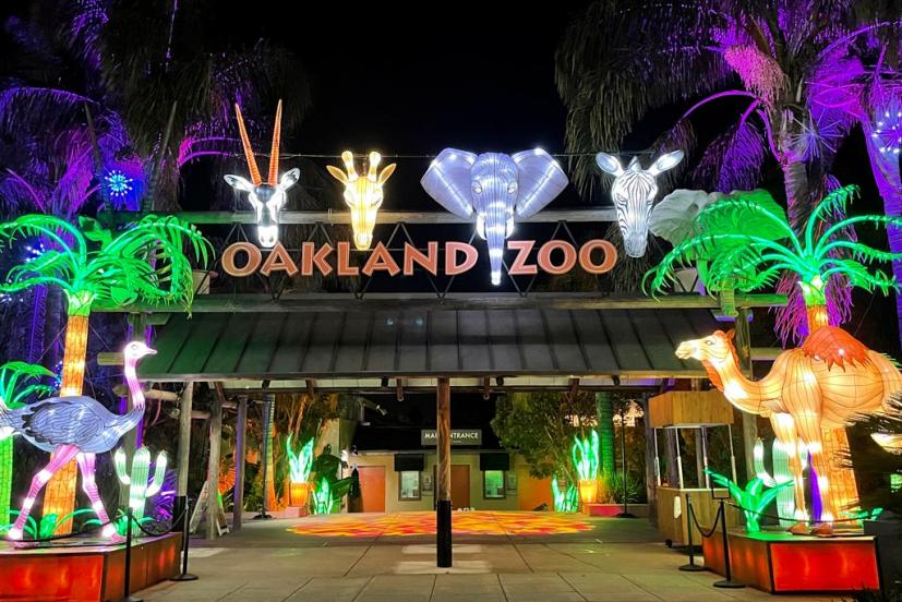 Glowfari Oakland Zoo