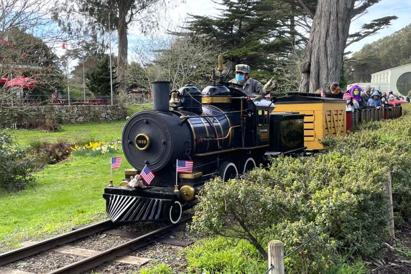 The Little Puffer Steam Train