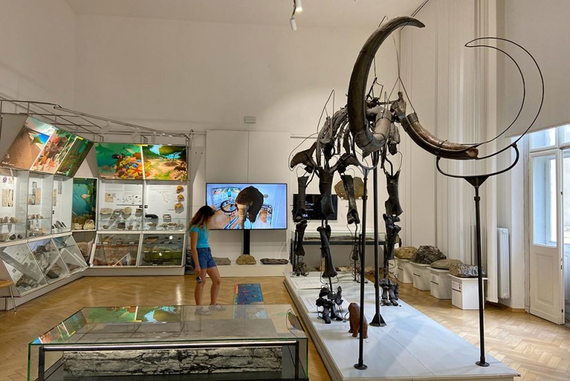Slovenian natural history museum mammoth