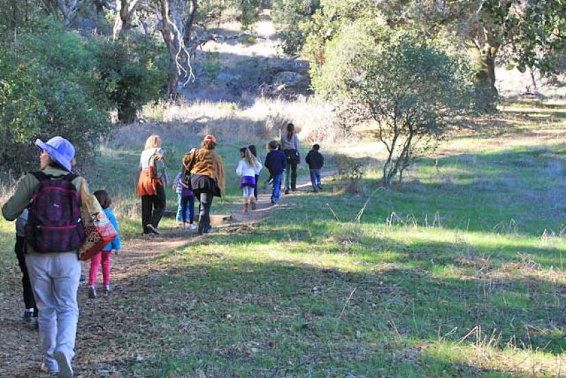Nature for Kids hikes Marin County Parks
