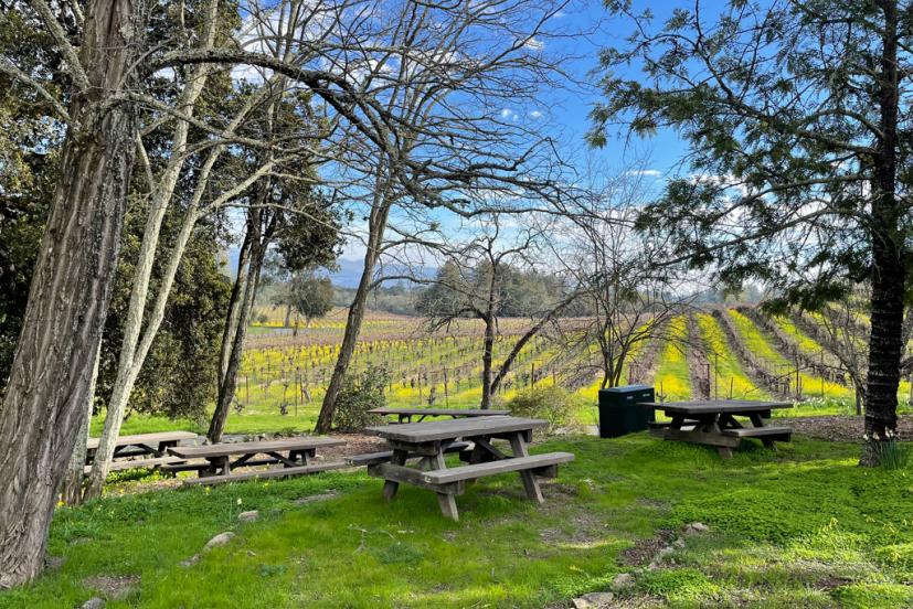 Jack London State Historic Park picnic tables overlooking vineyards