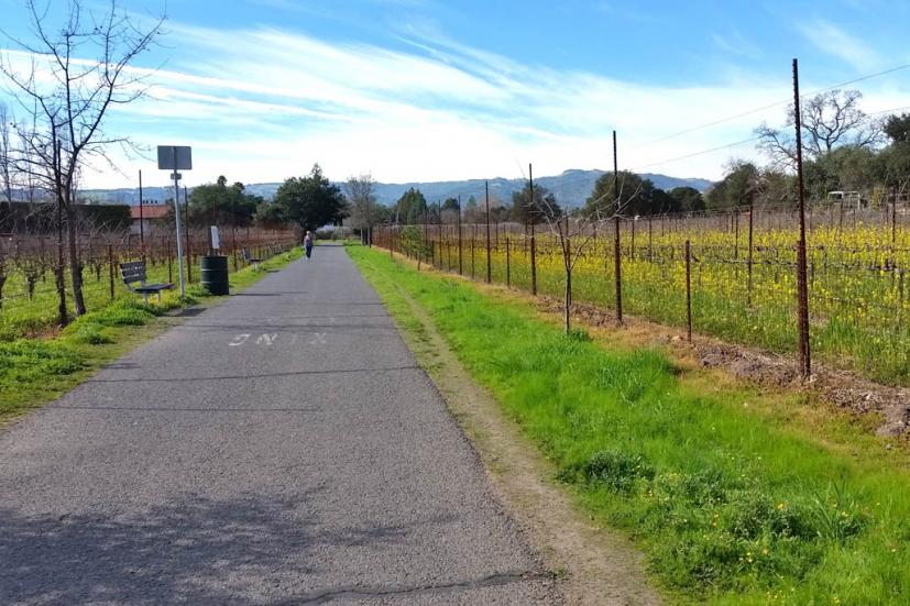 Sonoma Bike Path