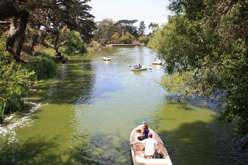 Stow Lake boats in Golden Gate Park