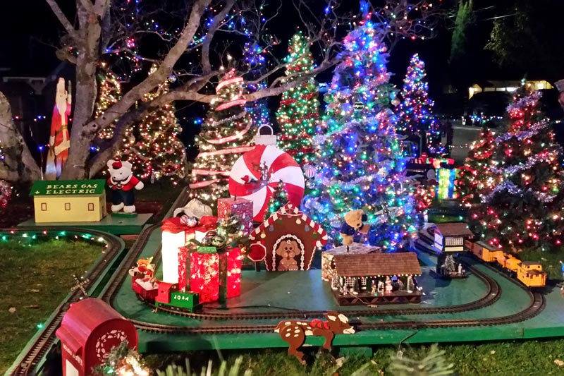 クリスマスファイバーハウス クリスマスハウス ファイバーハウス グラスファイバーハウス ライト