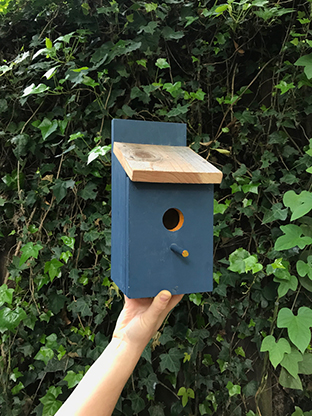 Family Event: Pre-Mother's Day Birdhouse Construction | Marin Mommies