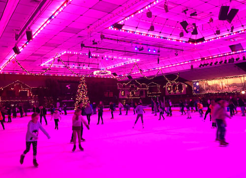 Snoopy's Home Ice in Santa Rosa, California - Kid-friendly Attractions Snoopy's Home Ice in Santa Rosa, California - Kid-friendly Attractions