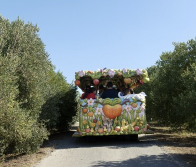 Festive Farm Tours, Trolley Rides & Seasonal Sips | Marin Mommies