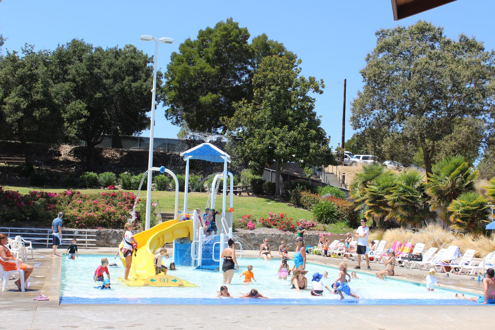 Activity Pool: Hamilton Community Pool | Marin Mommies