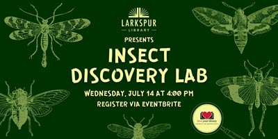 Insect Discovery Lab | Marin Mommies