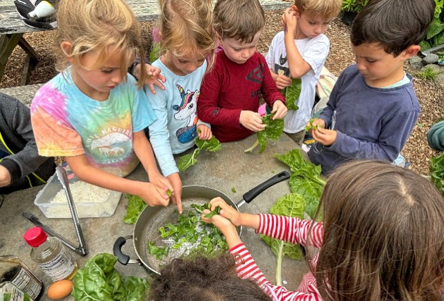 Slide Ranch Farm Fall Family Farm Days at Slide Ranch | Marin Mommies