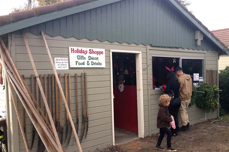 UCut Christmas Tree Farms in Sebastopol Marin Mommies