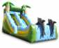 Party Jump's picture