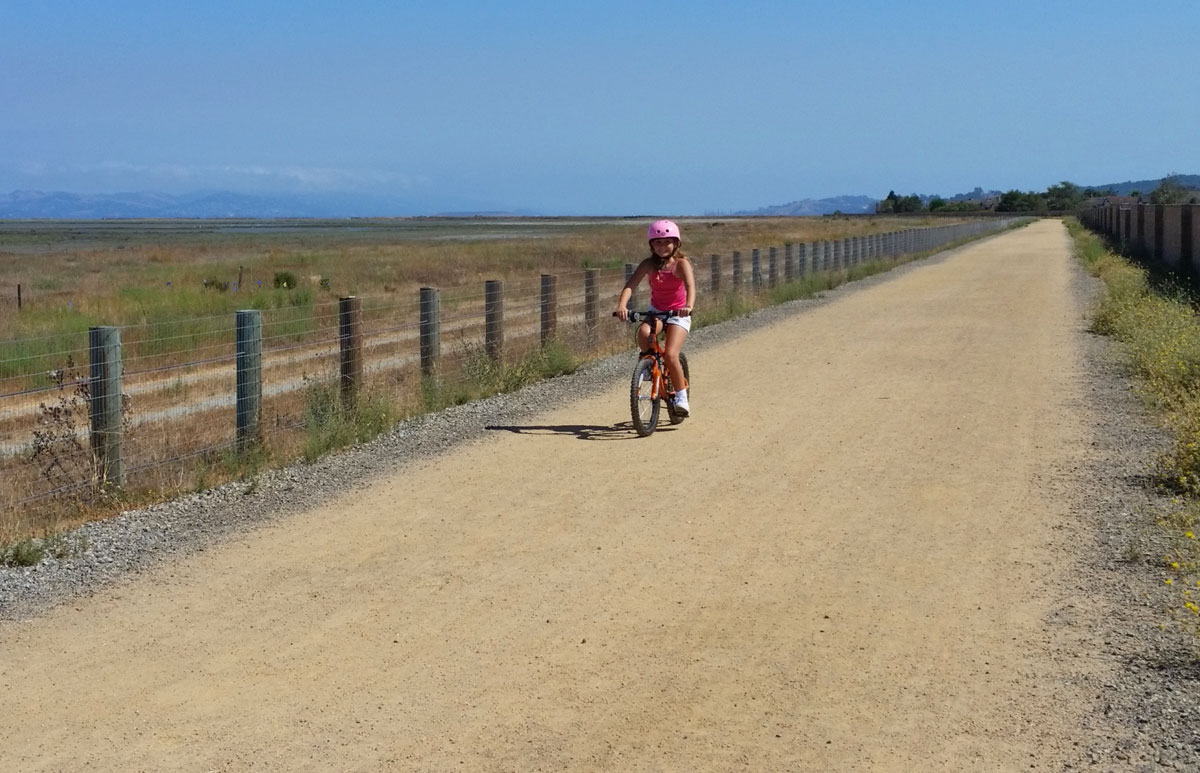 Fun Things to do in Marin and the Bay Area this Week July 1925