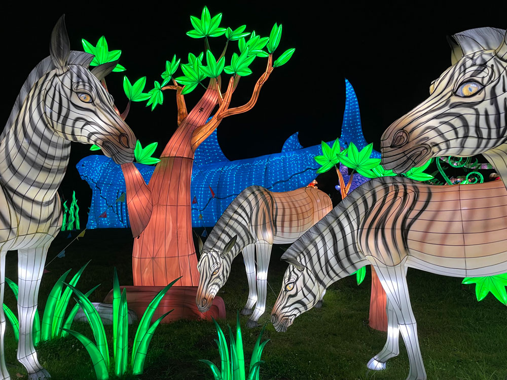 Glowfari, Oakland Zoo Marin Mommies