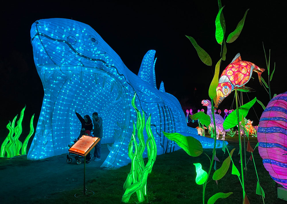 Glowfari, Oakland Zoo Marin Mommies