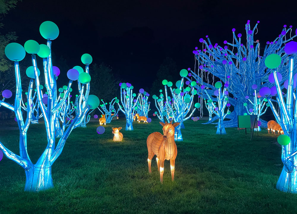 Glowfari, Oakland Zoo Marin Mommies