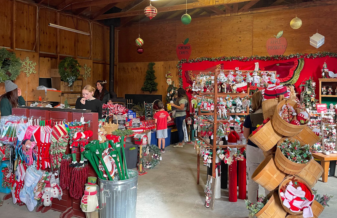 UCut Christmas Tree Farms in Sebastopol Marin Mommies