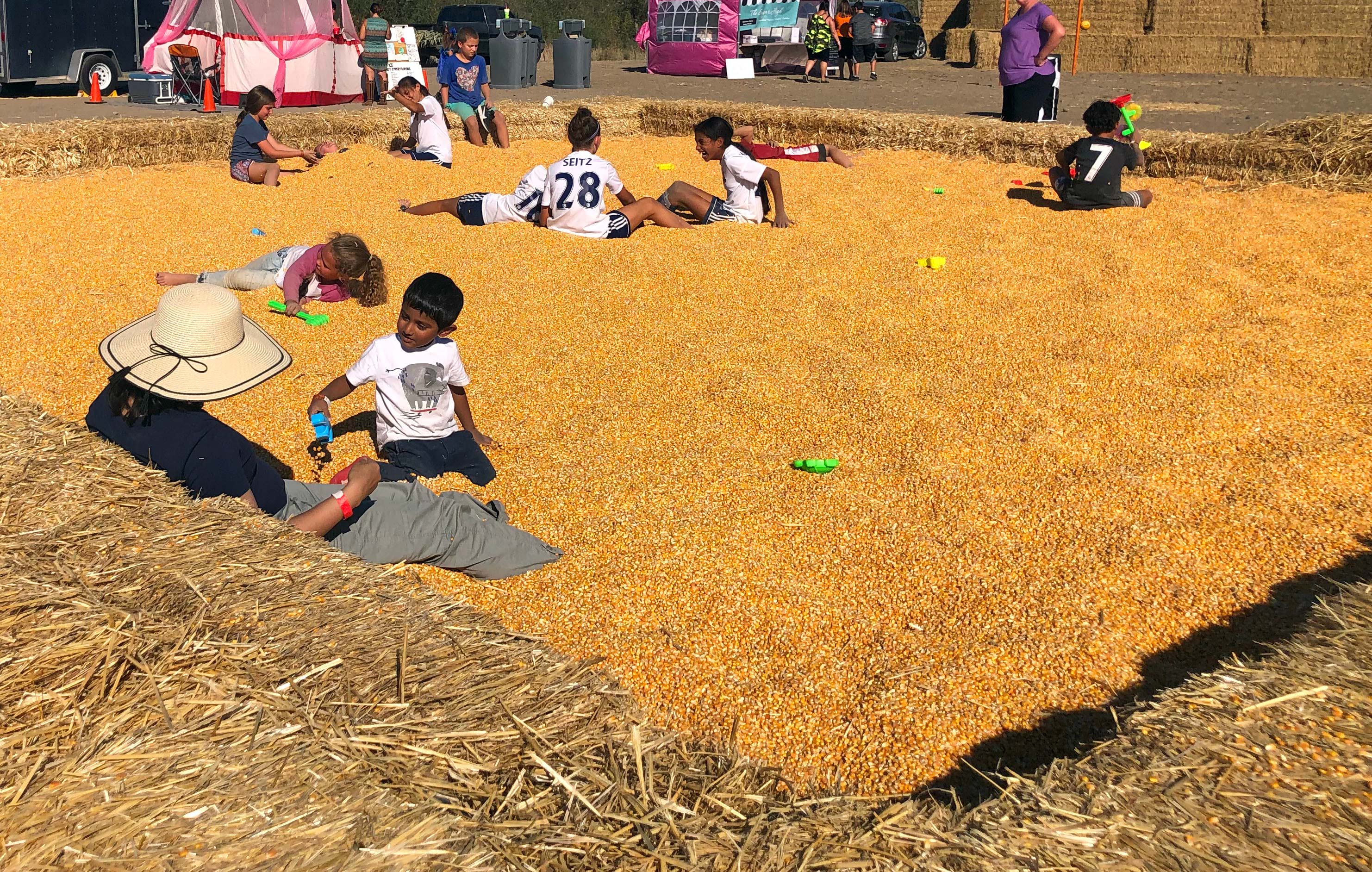 Family Farm Fun at Santa Rosa Pumpkin Patch | Marin Mommies
