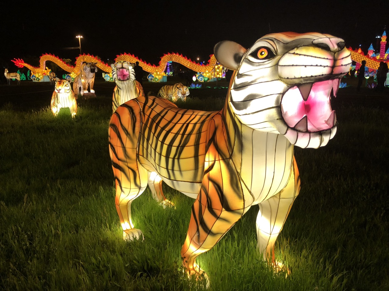 The Lantern Light Festival in Vallejo is a Magical Evening Outing | Marin  Mommies
