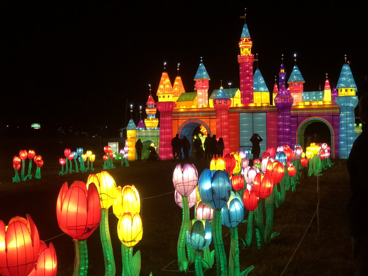 Magical Lantern Festival: A Journey Through Light and Tradition