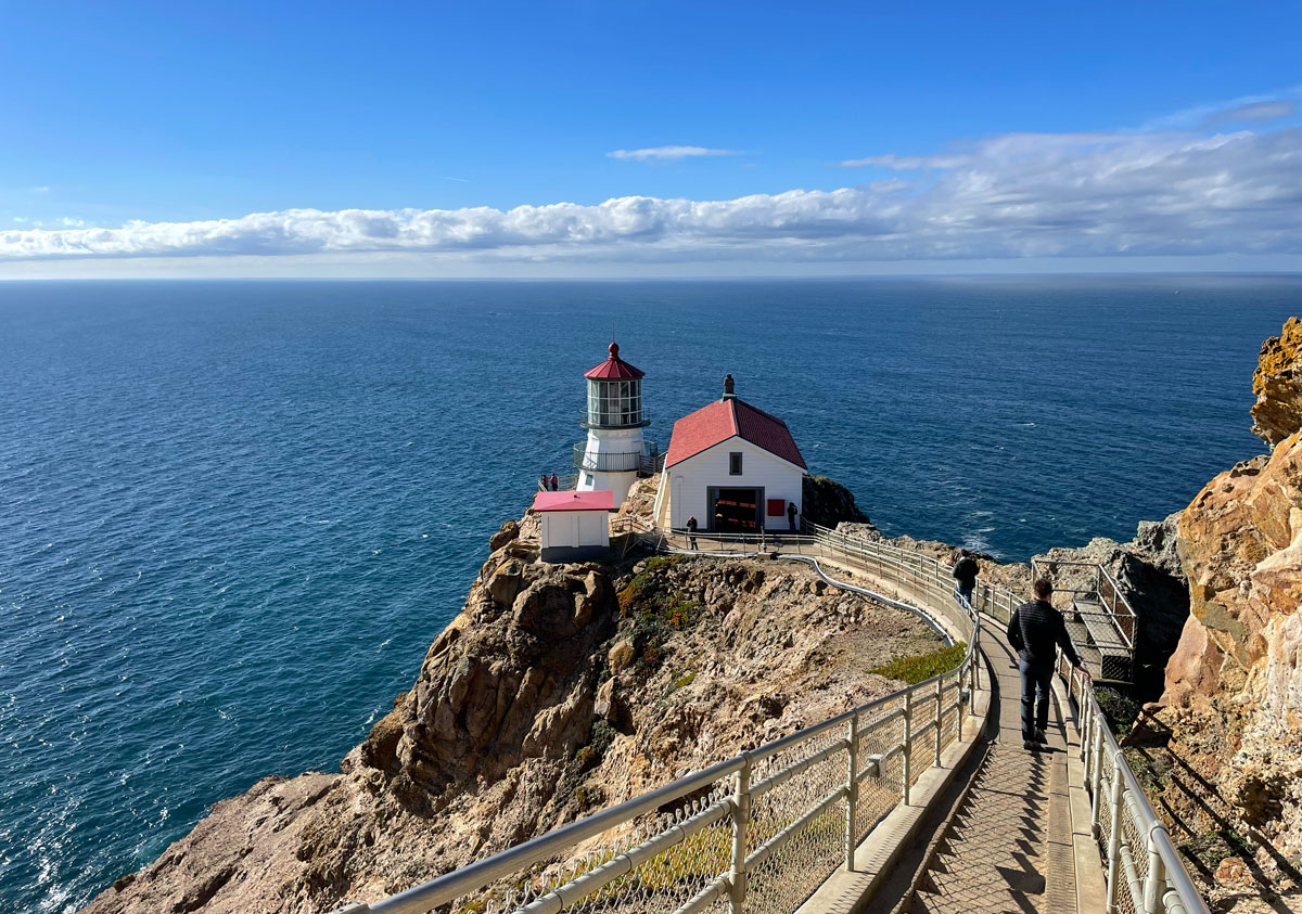 Winter Whale and Elephant Seal Watching at Point Reyes National ...