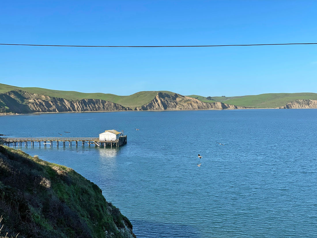 Hidden Hot Spring In Point Reyes Elephant Seals, Wildflowers, and More at Point Reyes's Chimney Rock ...
