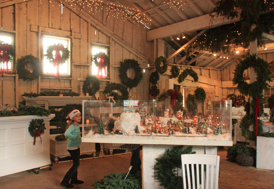 UCut Christmas Tree Farms in Sebastopol Marin Mommies