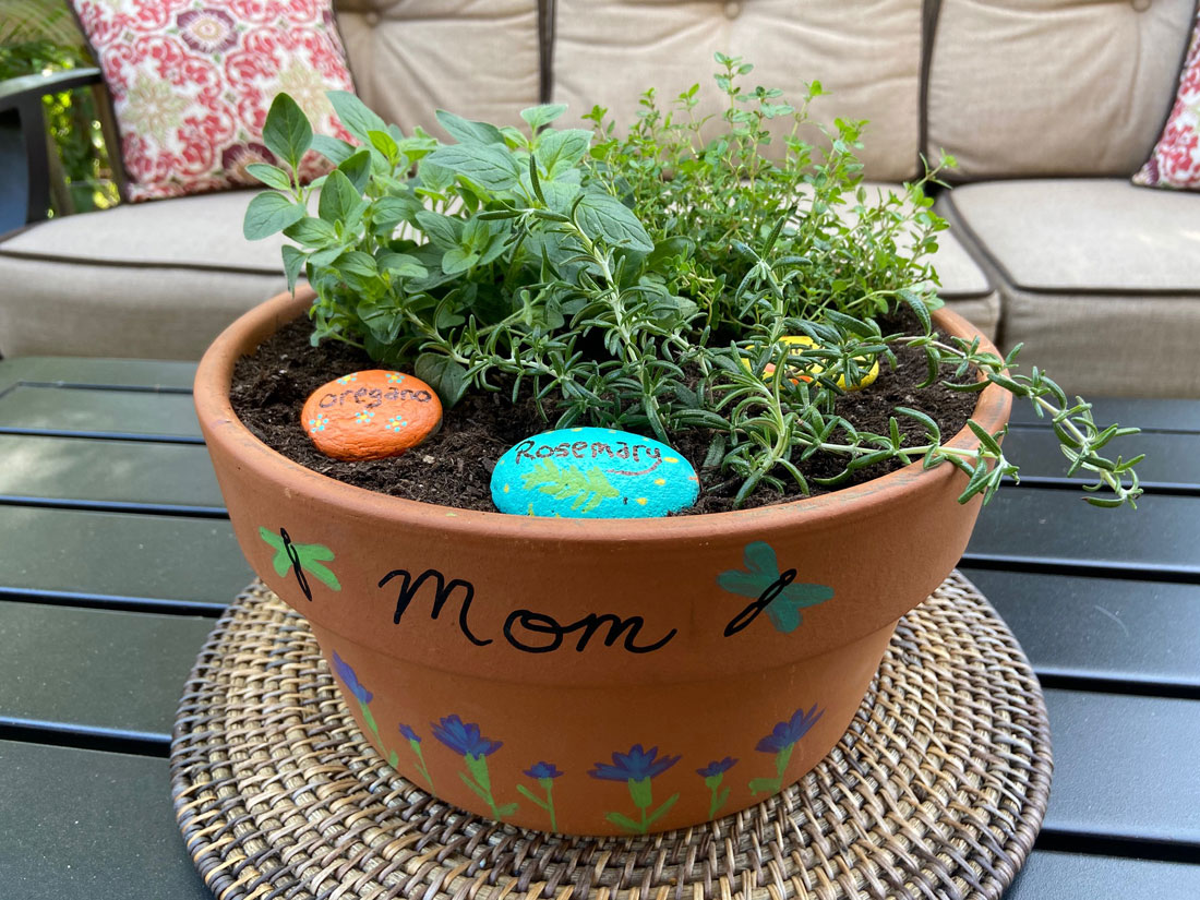 Create a Mother's Day Mini Herb Garden Marin Mommies