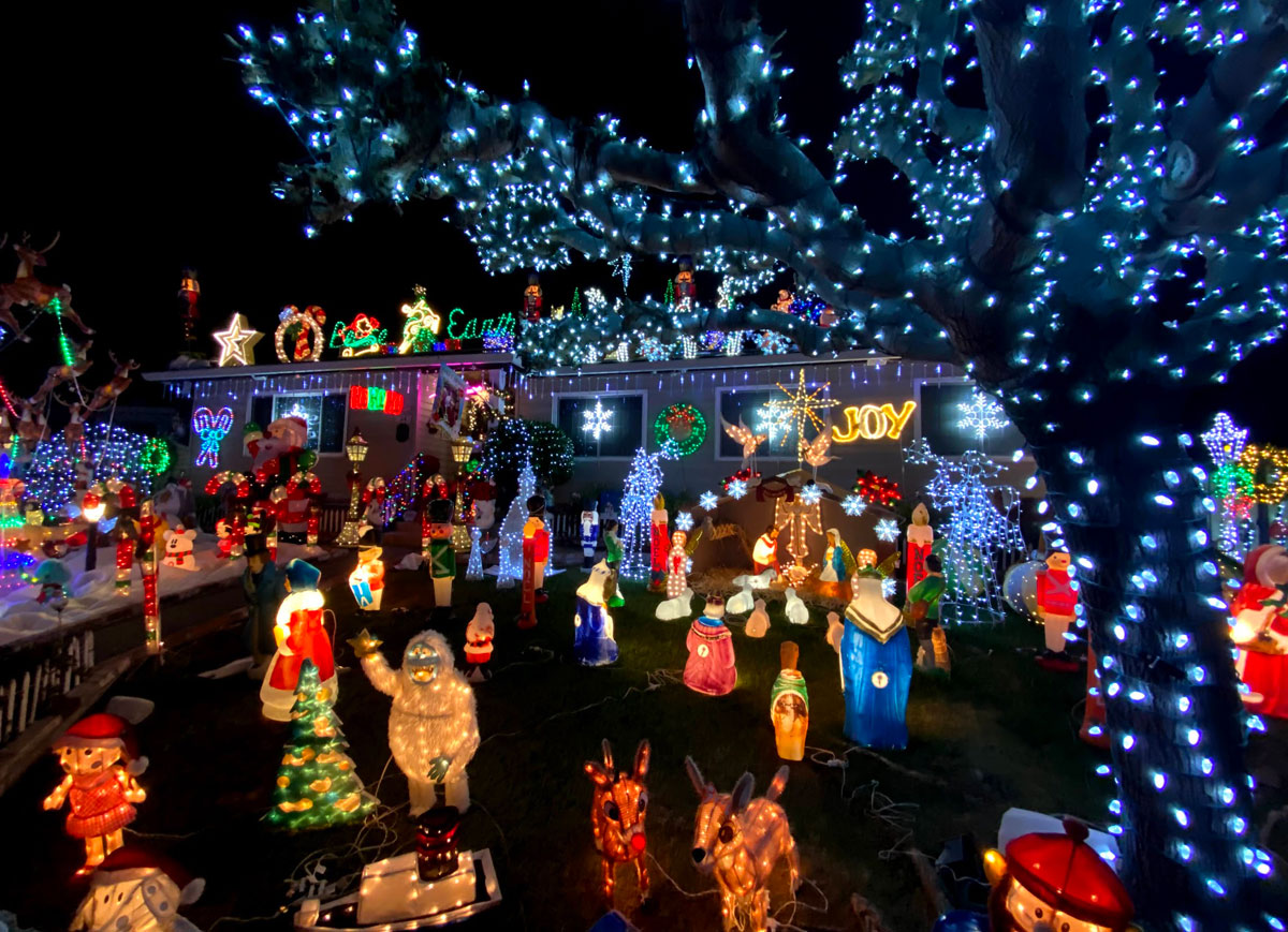 ◆ハーバリウム　279 merry Christmas *.:。✿*゜¨ ◇ハーバリウム 279 merry Christmas *.:。✿*゜¨ ハーバリウム ツリー
