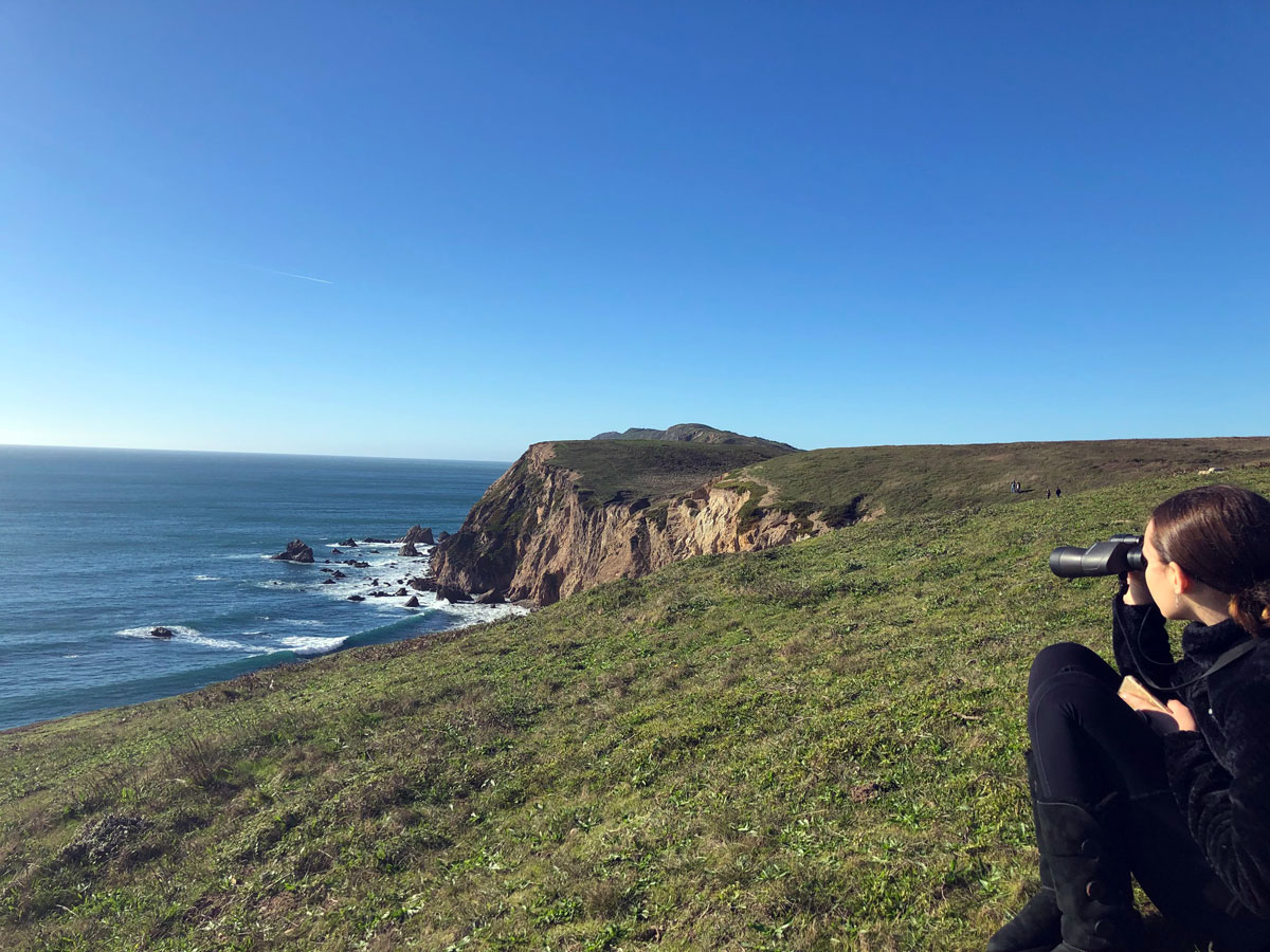 Point Reyes Kid Family Fun in Point Reyes | Marin Mommies
