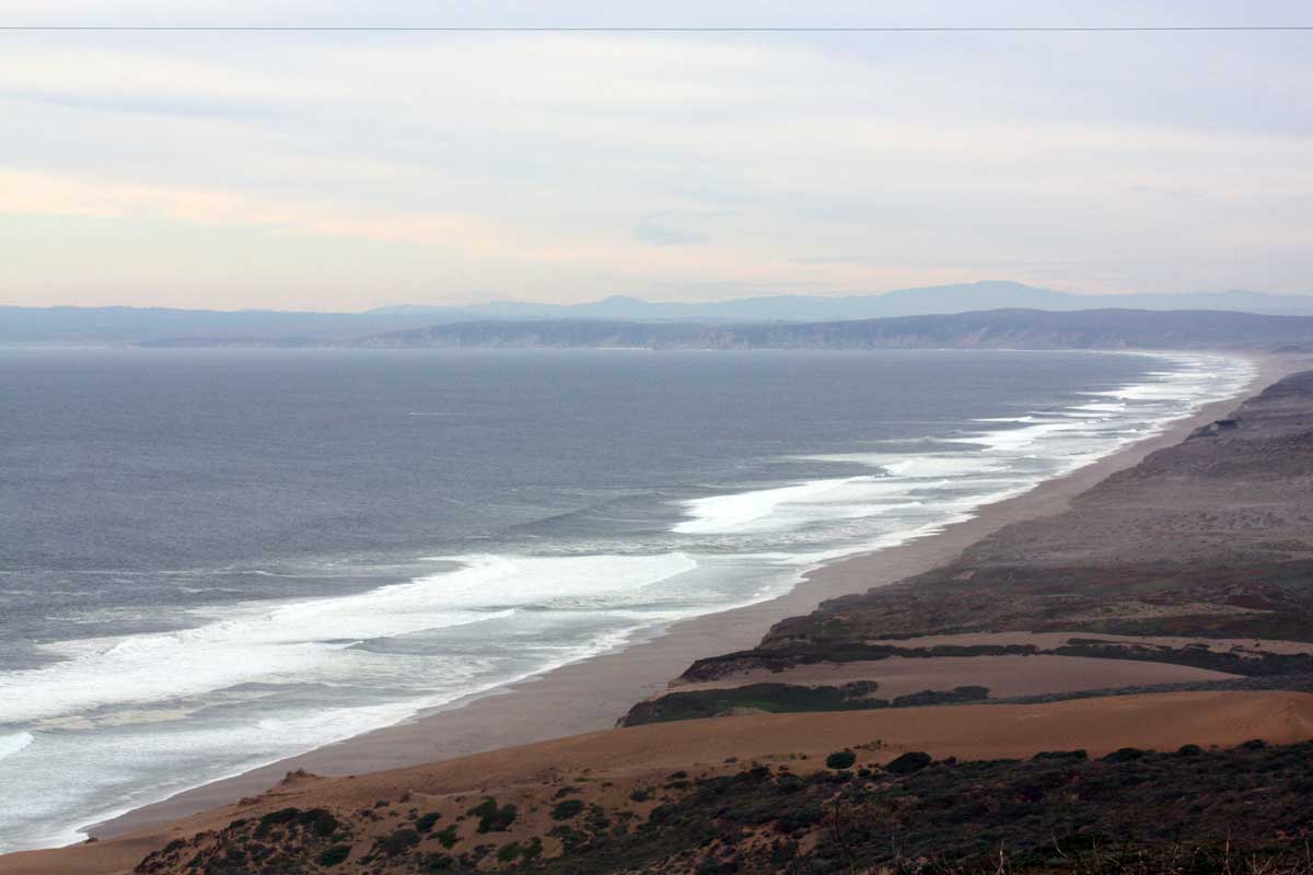 Winter Whale and Elephant Seal Watching at Point Reyes National ...
