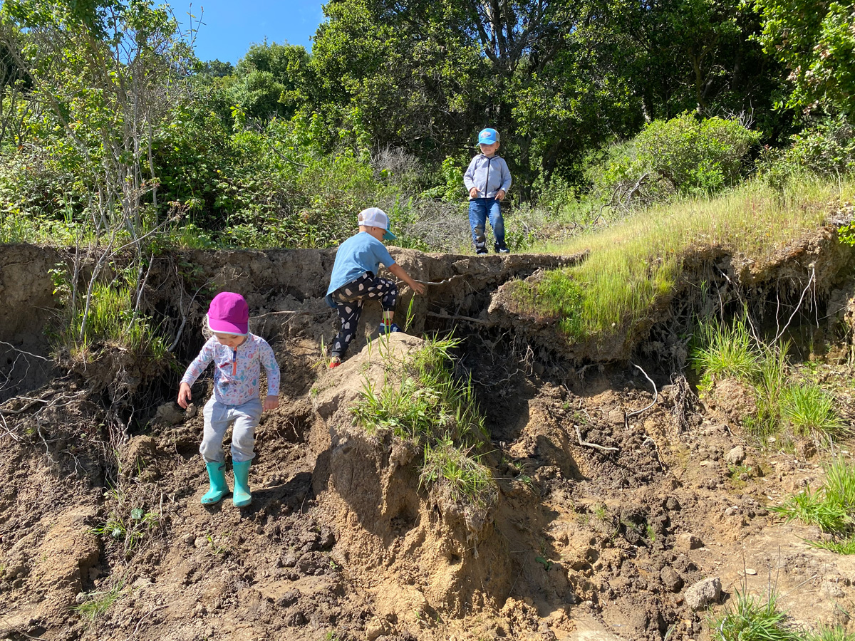 Nurturing Nature: How Early Experiences Inspire Lifelong Wonder | Marin ...