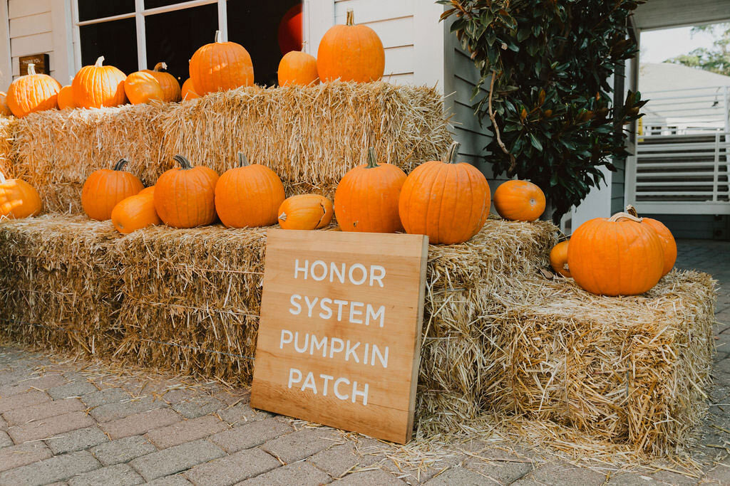 The Ultimate Guide to Halloween Pumpkin Patches in Marin and Sonoma