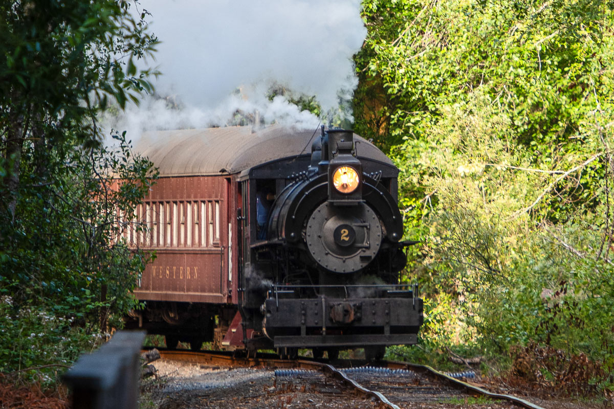 Skunk Train 55 Ride the Thrill on the New Skunk Train Railcoaster Railbikes | Marin ...