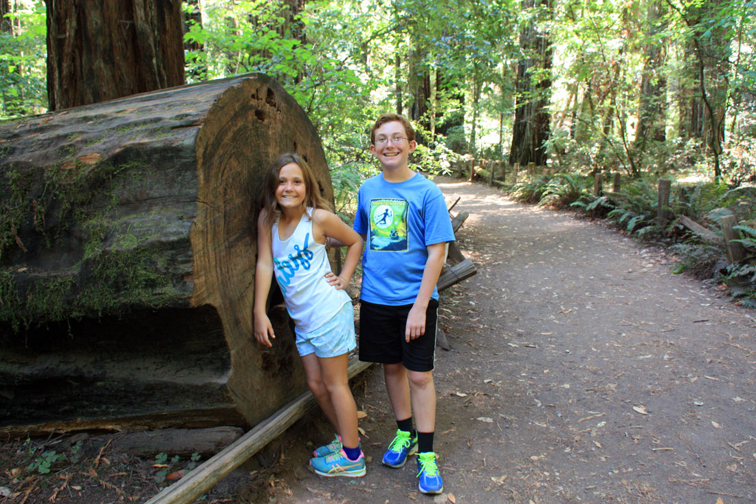 12 Summer Family Fun Things to Do in Sonoma County | Marin Mommies