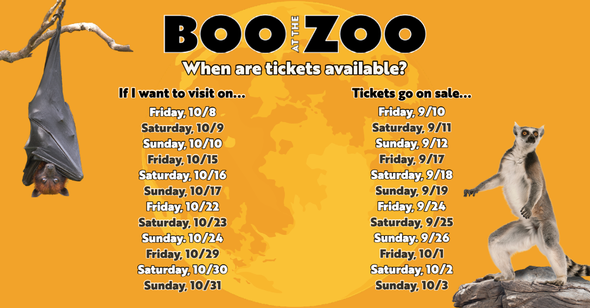 Celebrate Halloween with Boo at the Zoo at the Oakland Zoo! Marin Mommies