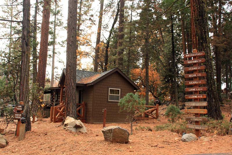 A Fantastic Family Sierra Getaway at Evergreen Lodge Yosemite | Marin