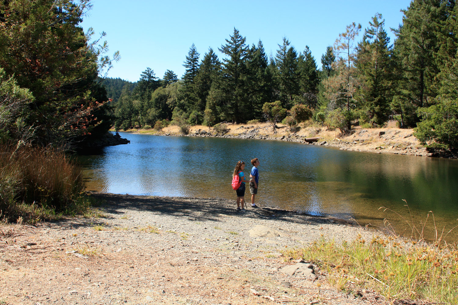 Hiking with Kids in Marin Sky Oaks and Lake Lagunitas on Mt. Tam