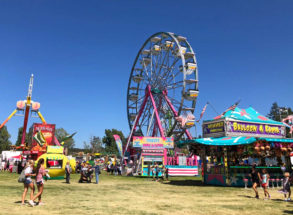 It's a "Jurassic Jubilee" at the 2023 Sonoma County Fair Marin Mommies