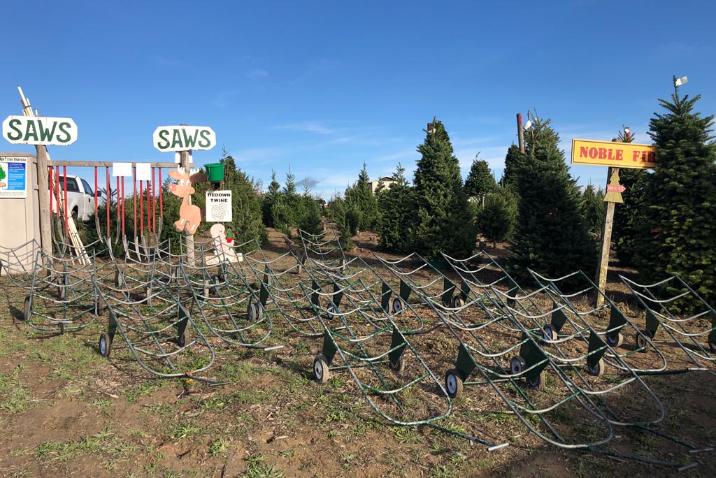 UCut Christmas Tree Farms in Sebastopol Marin Mommies