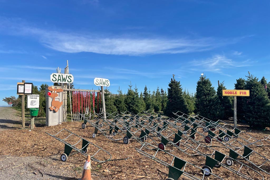 UCut Christmas Tree Farms in Sebastopol Marin Mommies
