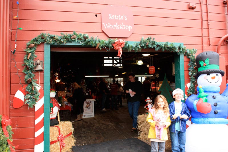 The Best Guide to Marin and Sonoma Christmas Tree Farms and Lots