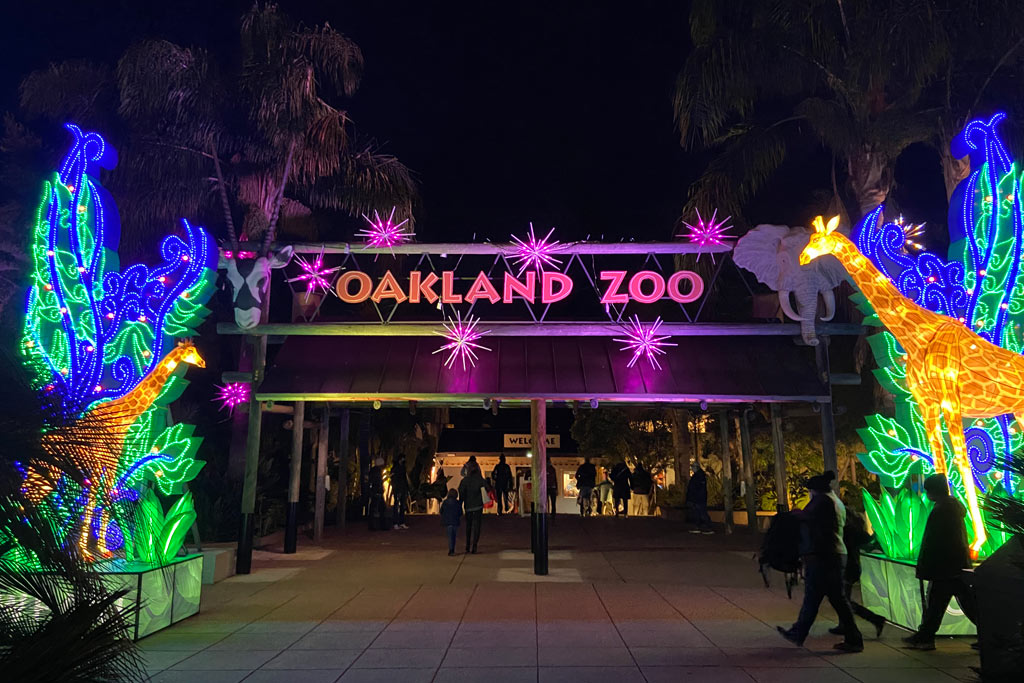 Glowfari Lantern Festival Lights Up the Oakland Zoo | Marin Mommies
