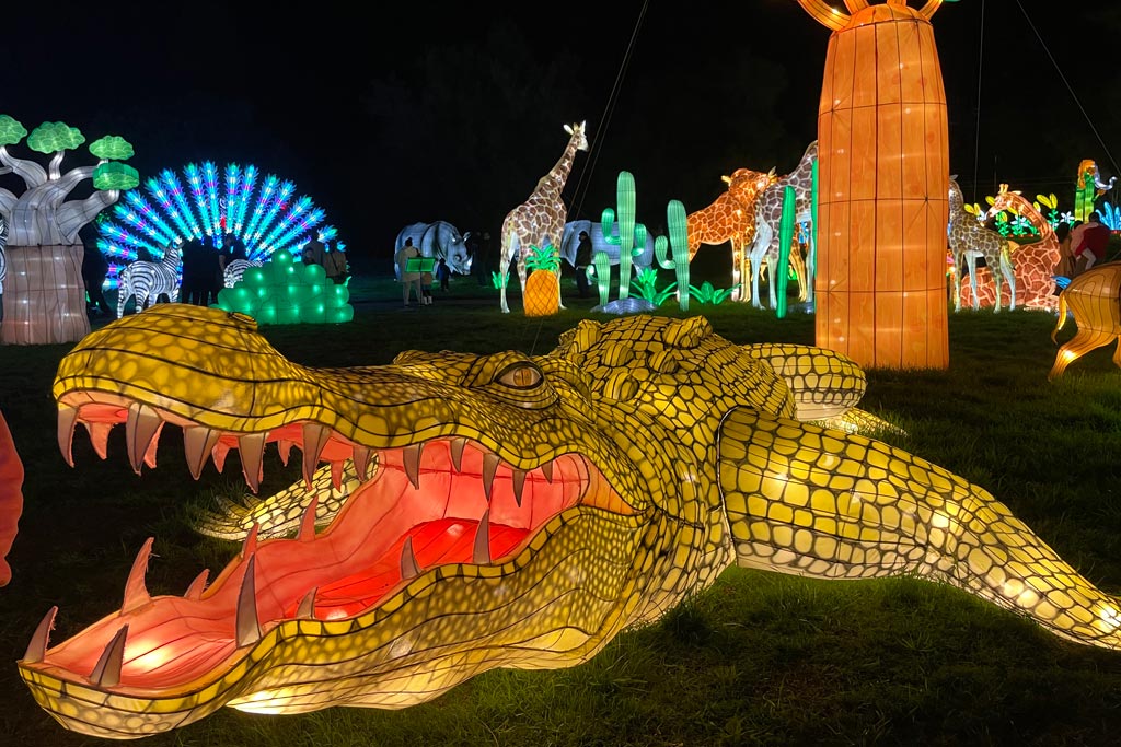 Get Your Tickets for Glowfari at the Oakland Zoo! Marin Mommies