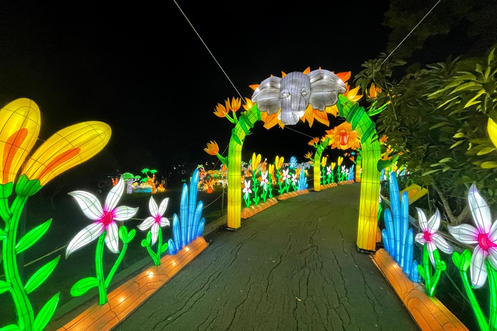 Glowfari Lights Up the Night at the Oakland Zoo Marin Mommies
