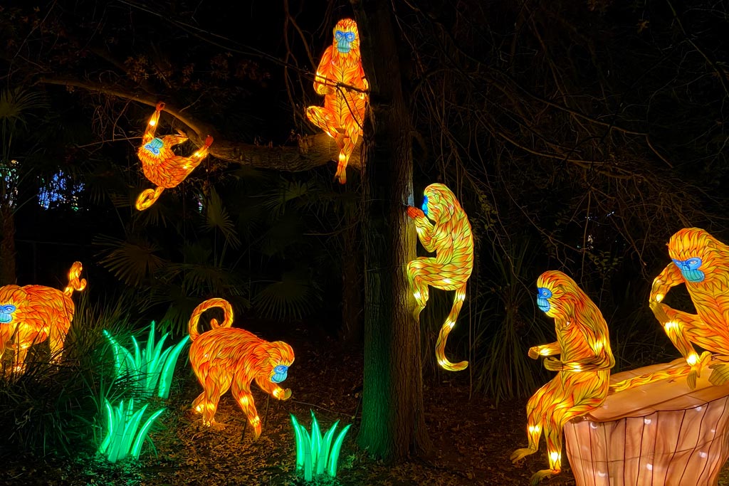safari lights oakland zoo