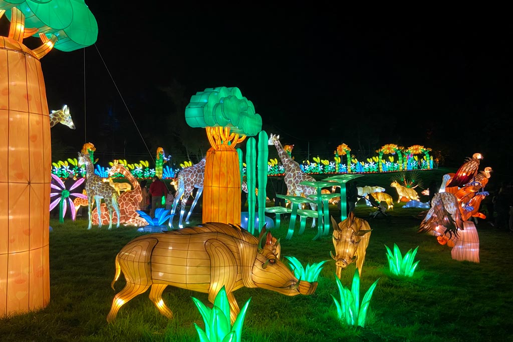 Glowfari Lights Up the Night at the Oakland Zoo Marin Mommies