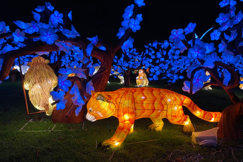Glowfari Lantern Festival Lights Up the Oakland Zoo Marin Mommies
