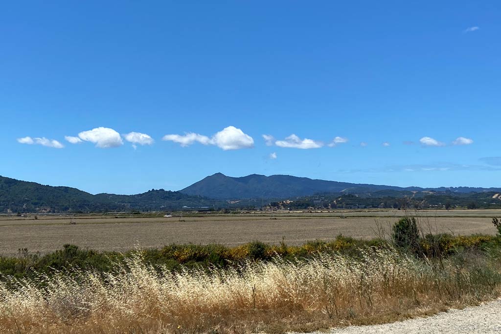 Best biking spots for kids in Novato