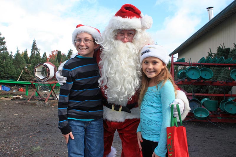 The Best Guide to Marin and Sonoma Christmas Tree Farms and Lots